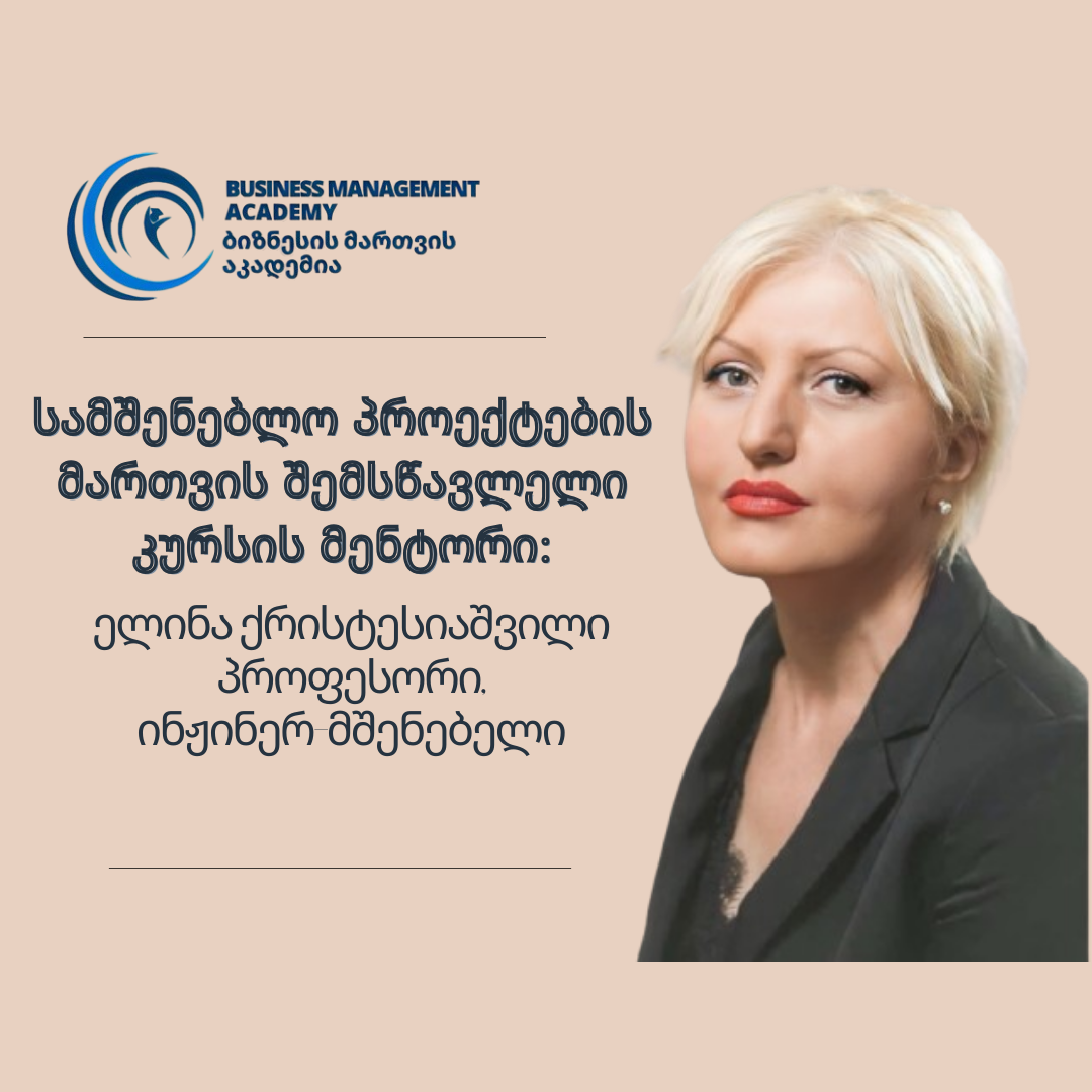 რისკებმა შეიძლება პროექტი დაშალოს - ელინა ქრისტესიაშვილი
