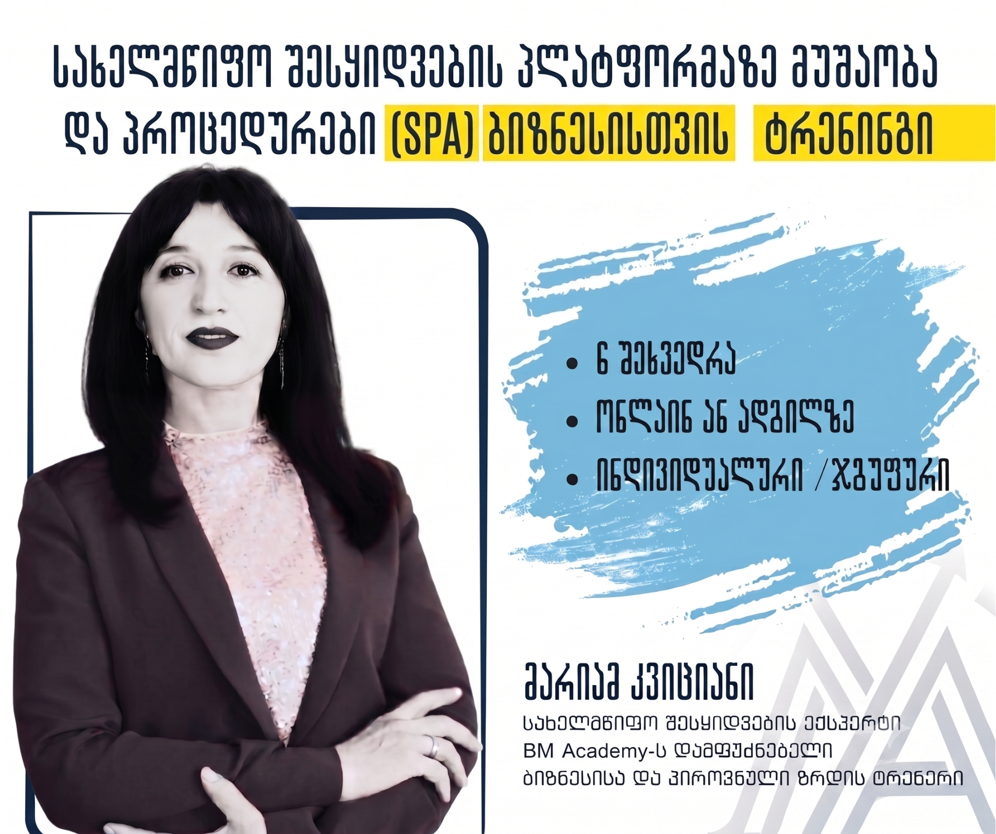 სახელმწიფო შესყიდვების პლატფორმაზე მუშაობა და პროცედურები (SPA) ბიზნესისთვის